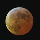 Mond