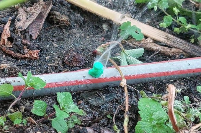 Im Gewächshaus übernimmt nun meine DIY 12-Volt-Anlage das Gießen. Die Sonne liefert Strom für Pumpe und Akku. 