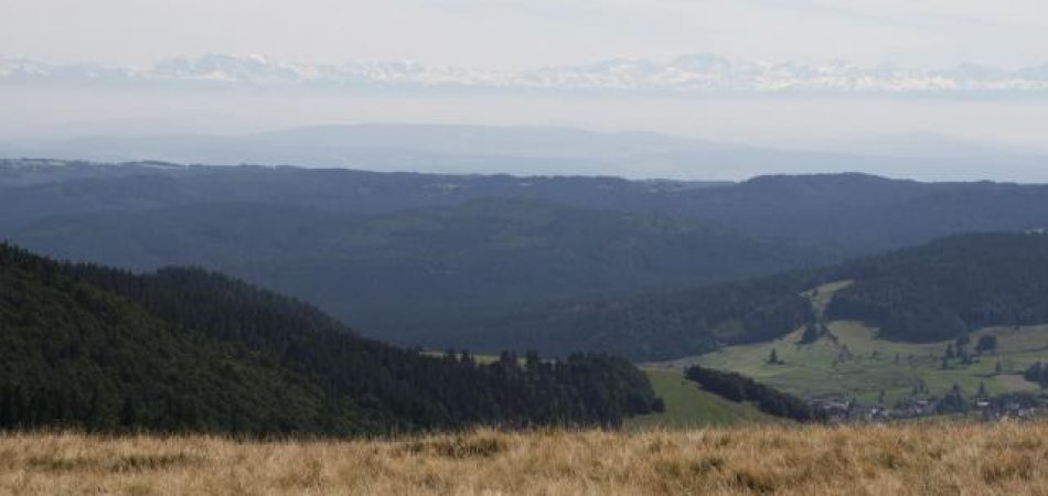 Faszinierendes Alpenpanorama vom Herzogenhorn aus