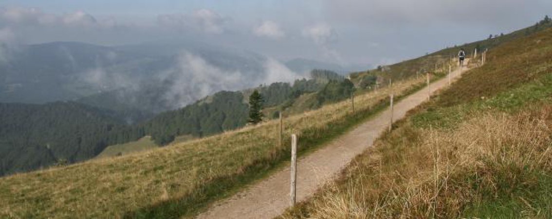 Traumhafter Blick vom Belchen zu Beginn der Etappe.