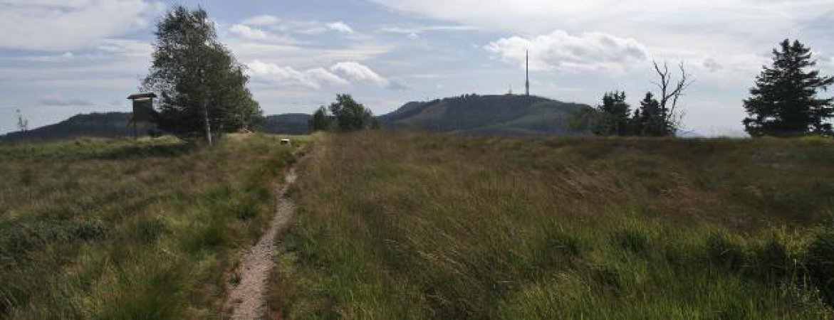 Der (West-)Weg zur Hornisgrinde (hinten Rechts)