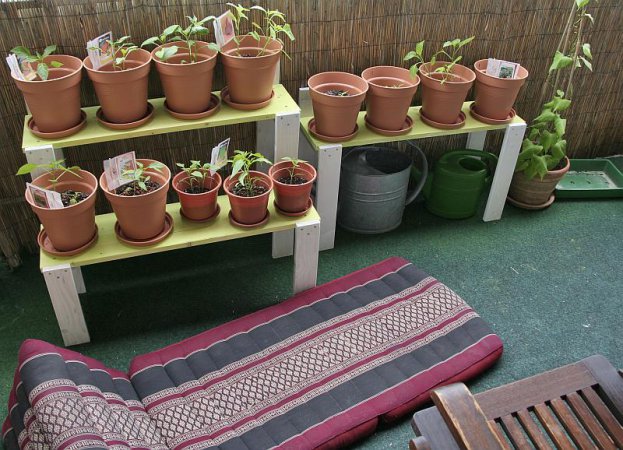 Teil 6: Chilis beim Probewohnen Teil 6: Chilis beim Probewohnen