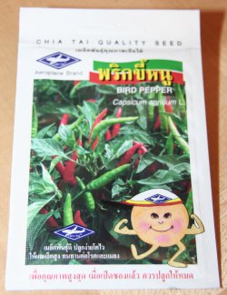 Capsicum annuum L. - Bird Pepper 